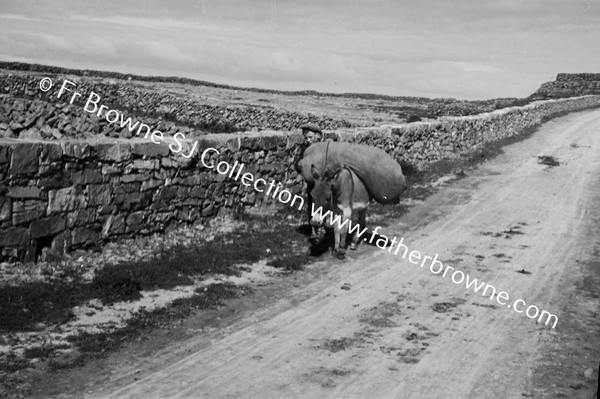 WOMAN WITH DONKEY ON ROAD